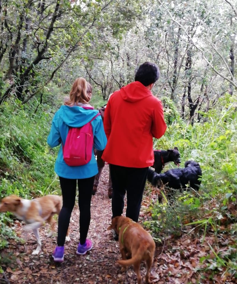 28b41506-1ca7-436d-8258-42ebea4368d2