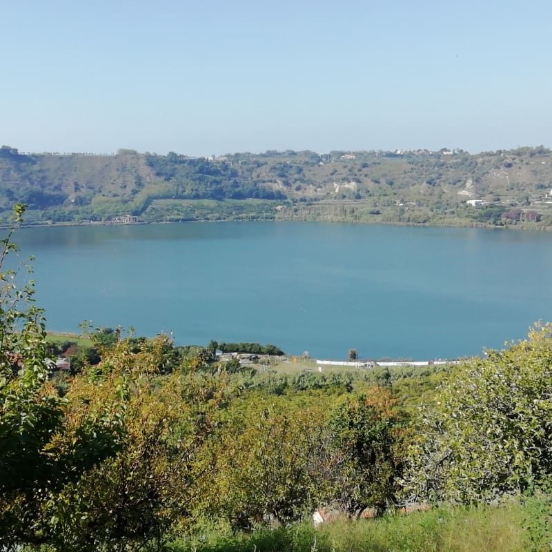 f99087a4-3f27-4b3c-a59b-18ee9f632439